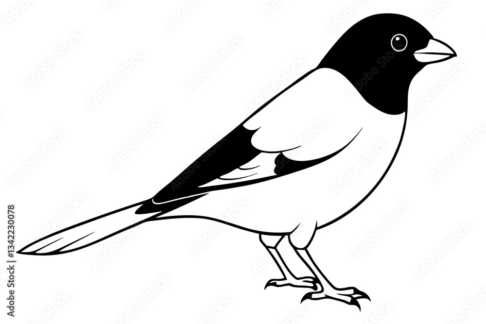 Naklejka premium bullfinch line art silhouette vector illustration