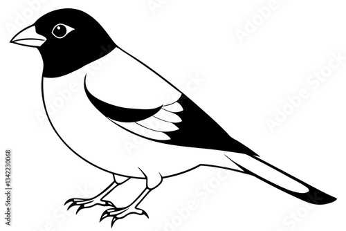 bullfinch line art silhouette vector illustration