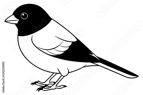 bullfinch line art silhouette vector illustration