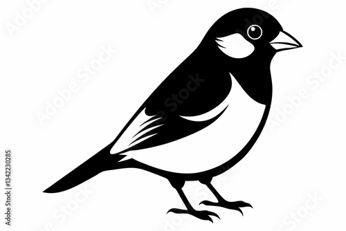bullfinch line art silhouette vector illustration