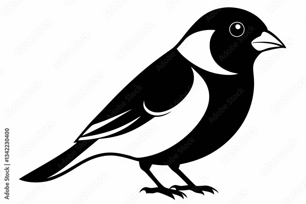 Obraz premium bullfinch line art silhouette vector illustration