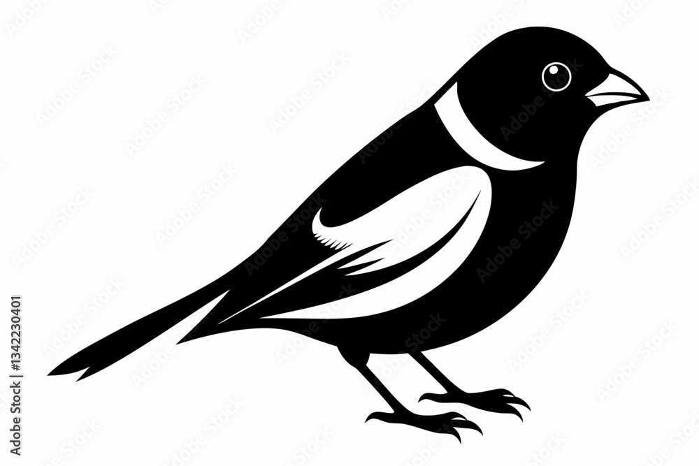Fototapeta premium bullfinch line art silhouette vector illustration