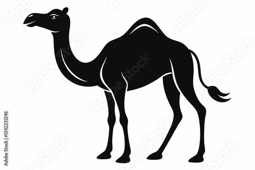 dromedary camel line art silhouette vector illustration