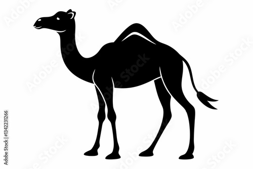 dromedary camel line art silhouette vector illustration