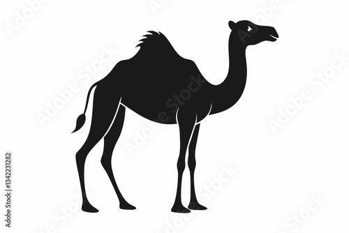 dromedary camel line art silhouette vector illustration