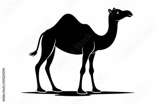 dromedary camel line art silhouette vector illustration
