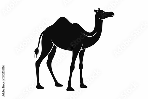 dromedary camel line art silhouette vector illustration