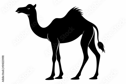 dromedary camel line art silhouette vector illustration