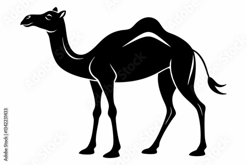 dromedary camel line art silhouette vector illustration