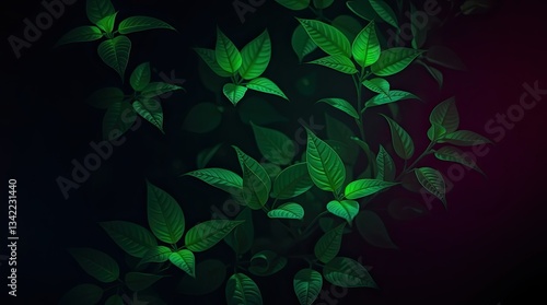 Wallpaper Mural Fresh green leaves are prominently displayed against a dark backdrop highlighting their intricate shapes and rich color evoking a sense of tranquility Torontodigital.ca