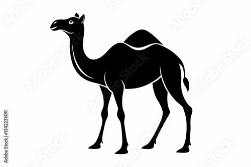 dromedary camel line art silhouette vector illustration