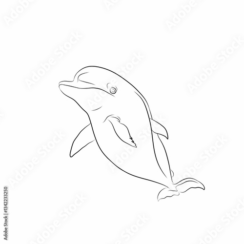 sketch of a bottlenose dolphin on a white background