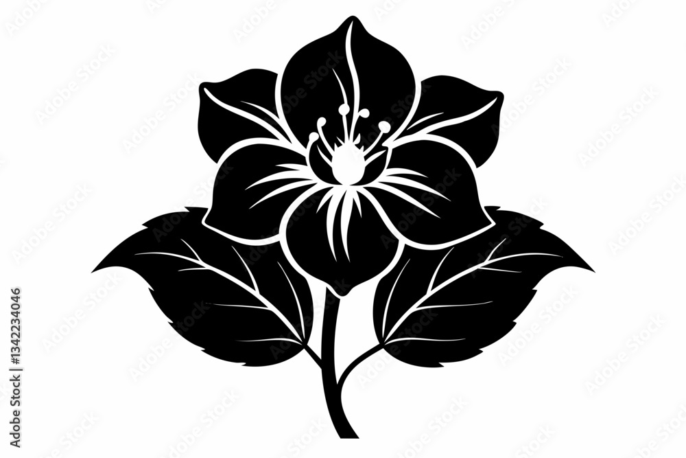 Obraz premium hellebore flower line art silhouette vector illustration
