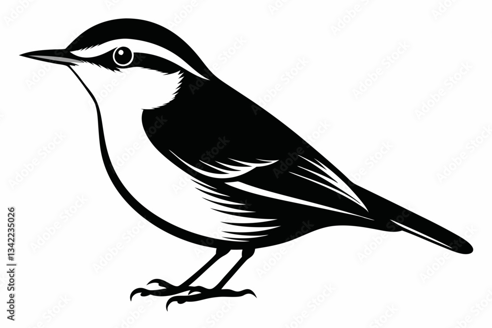 Fototapeta premium nuthatch bird line art silhouette vector illustration