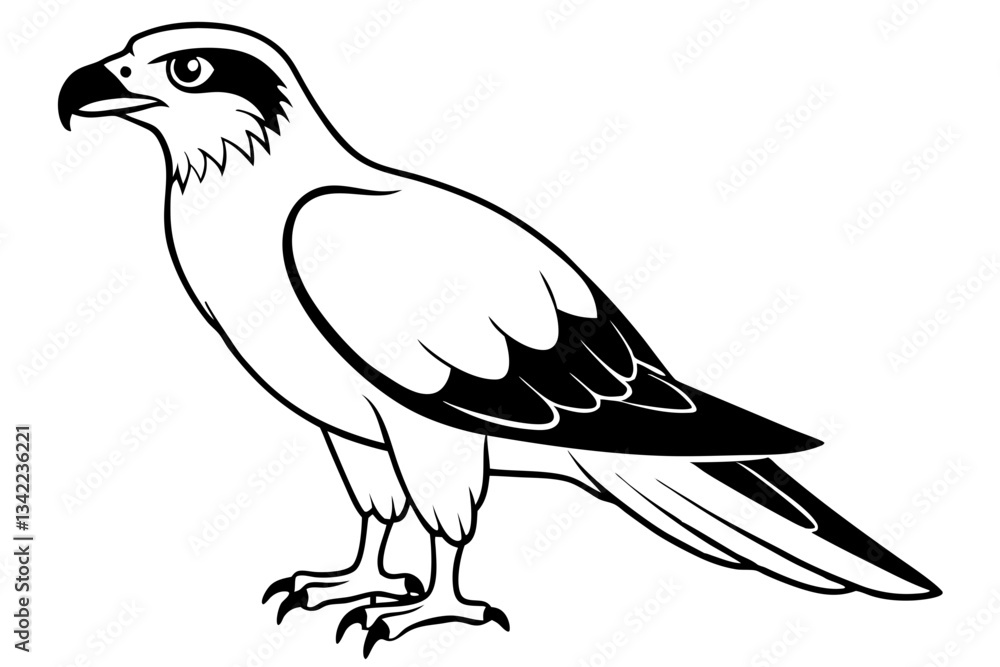 Fototapeta premium osprey line art silhouette vector illustration