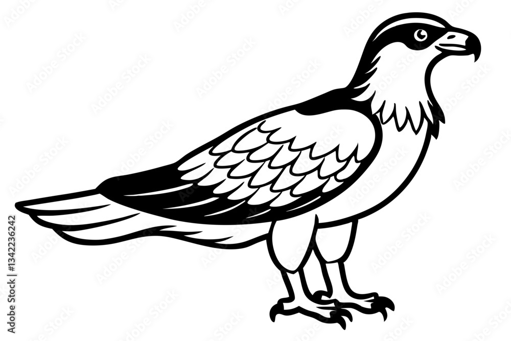 Fototapeta premium osprey line art silhouette vector illustration