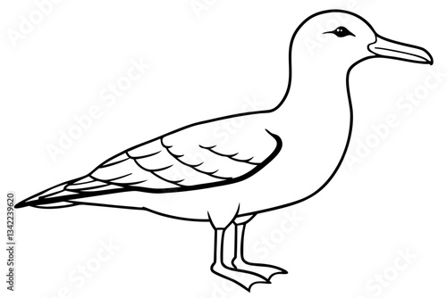 shearwater line art silhouette vector illustration