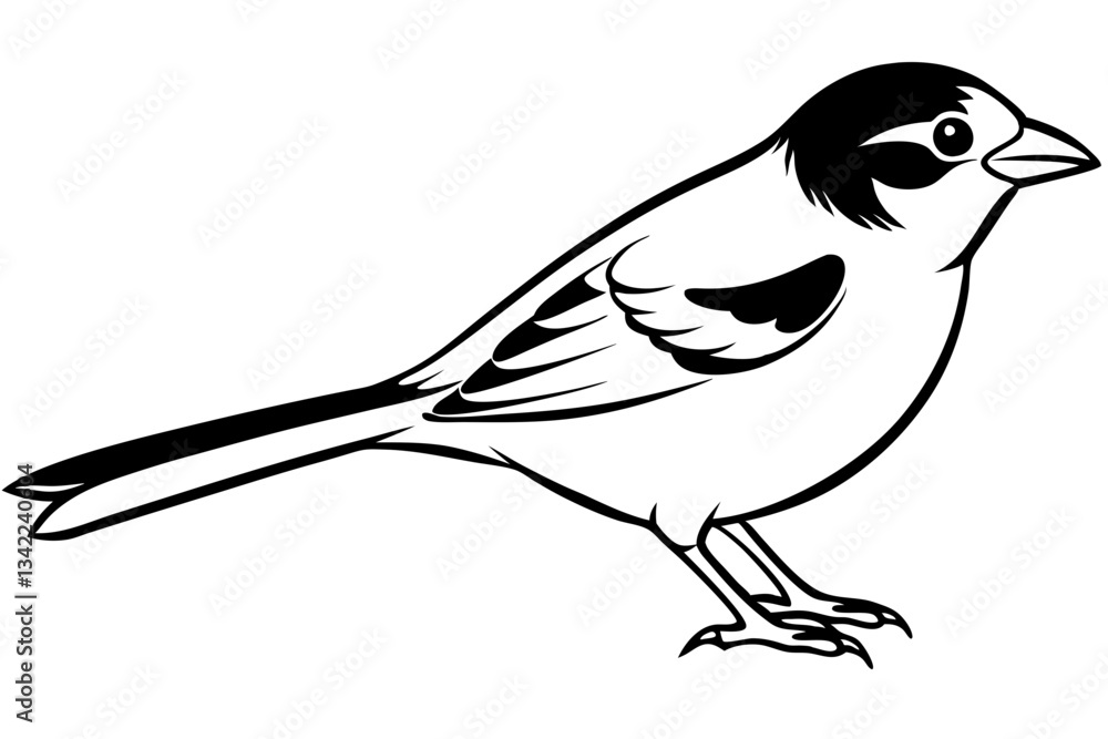 Obraz premium sparrow line art silhouette vector illustration