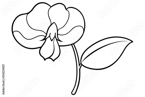 sweet pea flower line art silhouette vector illustration