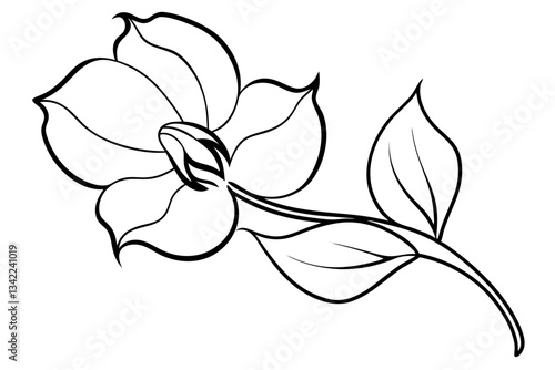 sweet pea flower line art silhouette vector illustration
