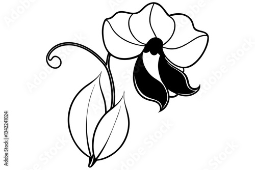 sweet pea flower line art silhouette vector illustration