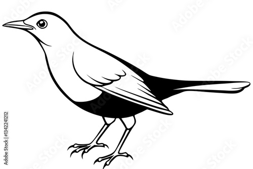 thrush line art silhouette vector illustration