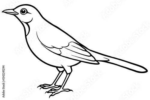 thrush line art silhouette vector illustration