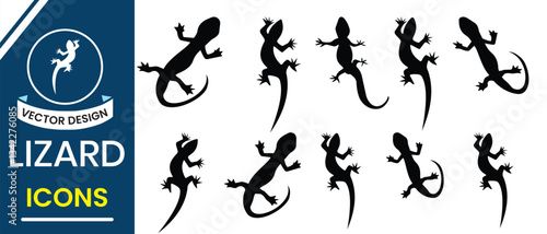 Lizard icon vector, Gecko vector Silhouette. Set of lizard, Salamander silhouette on white background. Vector illustration.