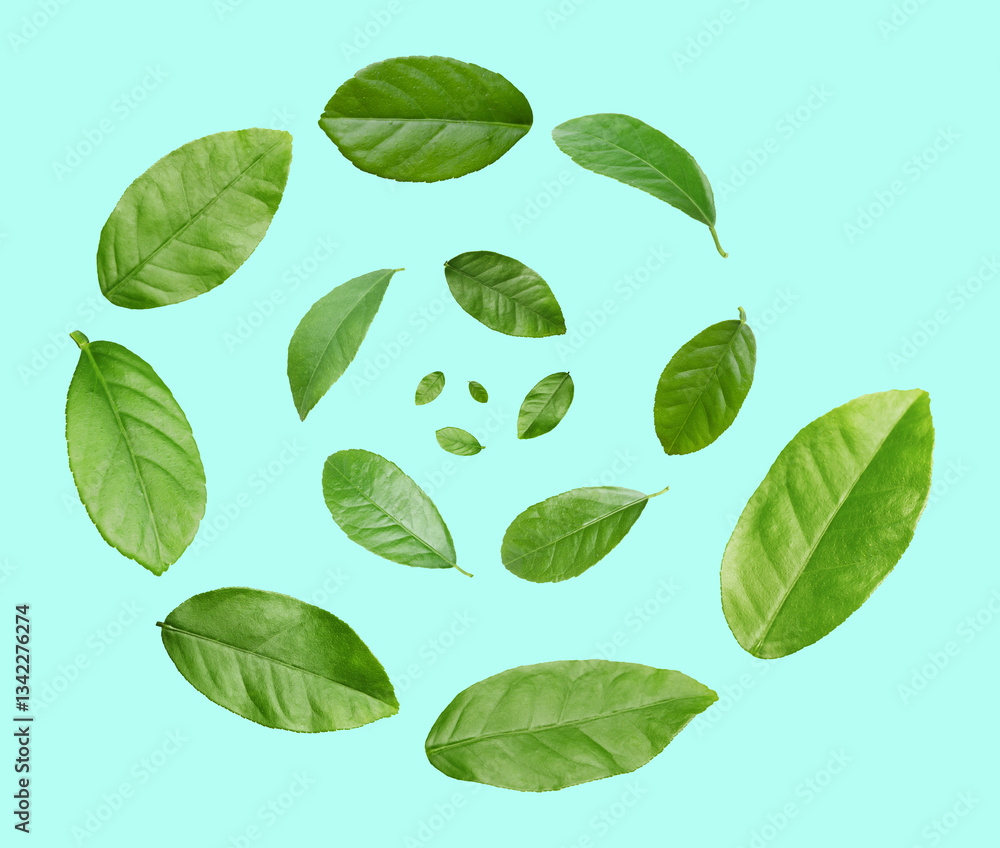 Fototapeta premium Green leaves swirling in air on turquoise background