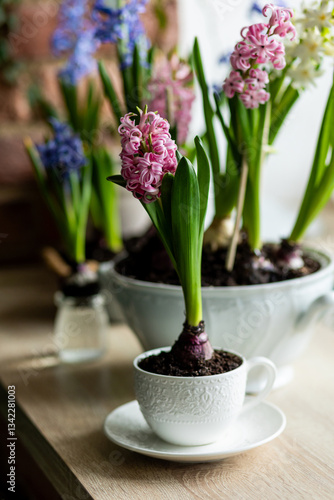 Floral cozy home decor for Easter holiday celebration. Fresh blooming spring hyacinth flowers. Beautiful house interior design, seasonal decoration