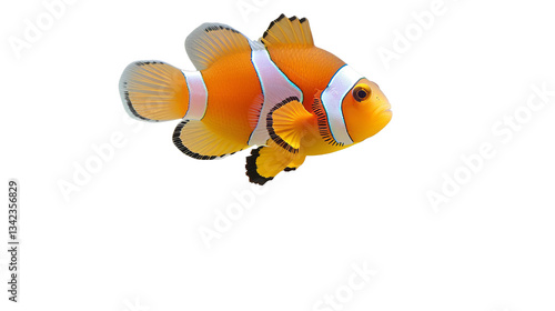 Vibrant Anemonefish Playfully Darting Among Colorful Tentacles in a Secluded Underwater Paradise