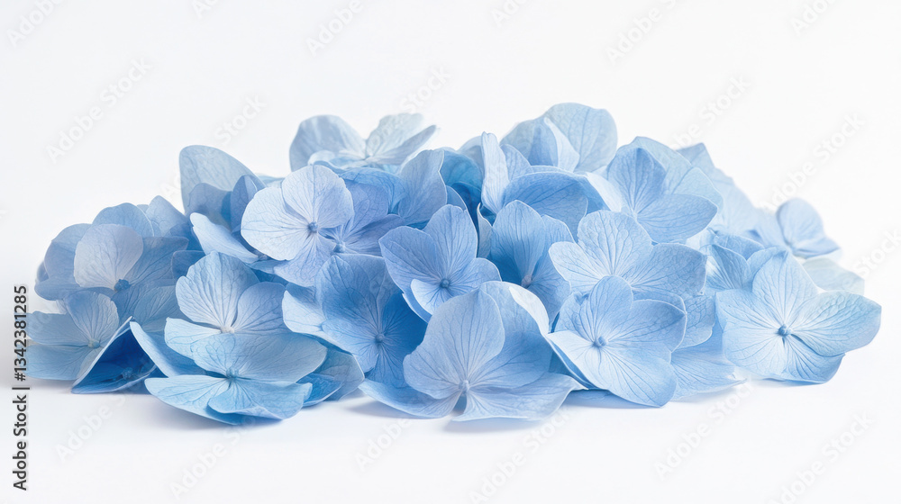 Obraz premium An elegant arrangement of blue hydrangeas, their dense clusters of petals forming a lush, textured bouquet