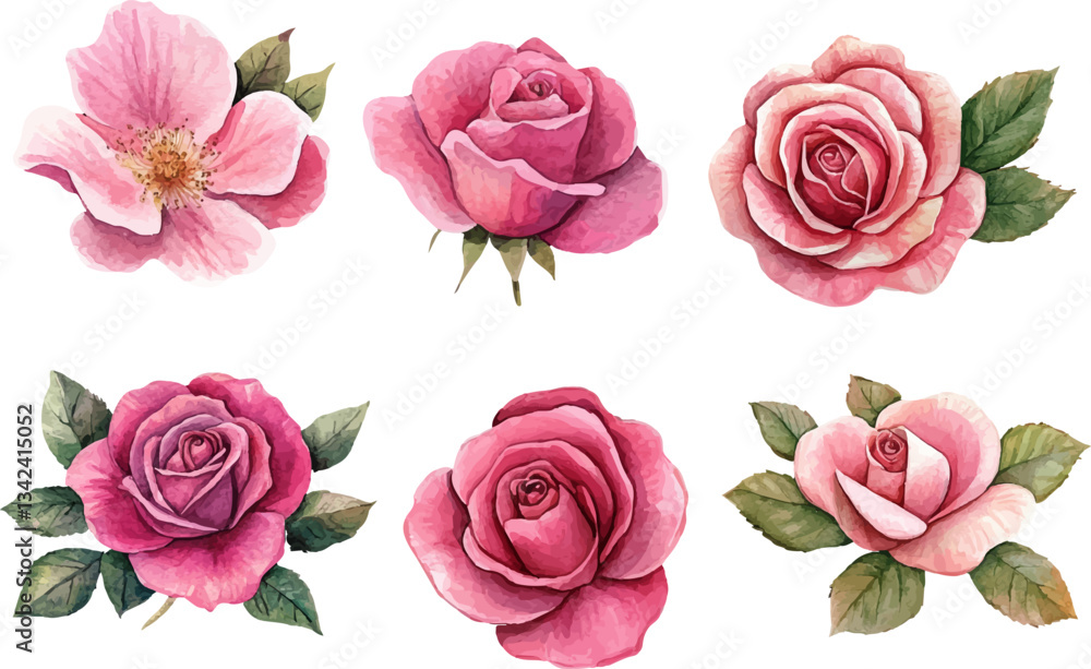 Naklejka premium set of pink roses