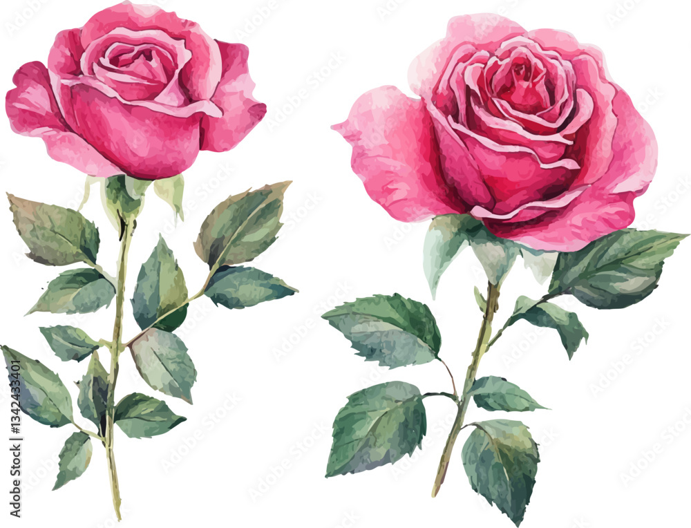 Naklejka premium bouquet of pink roses