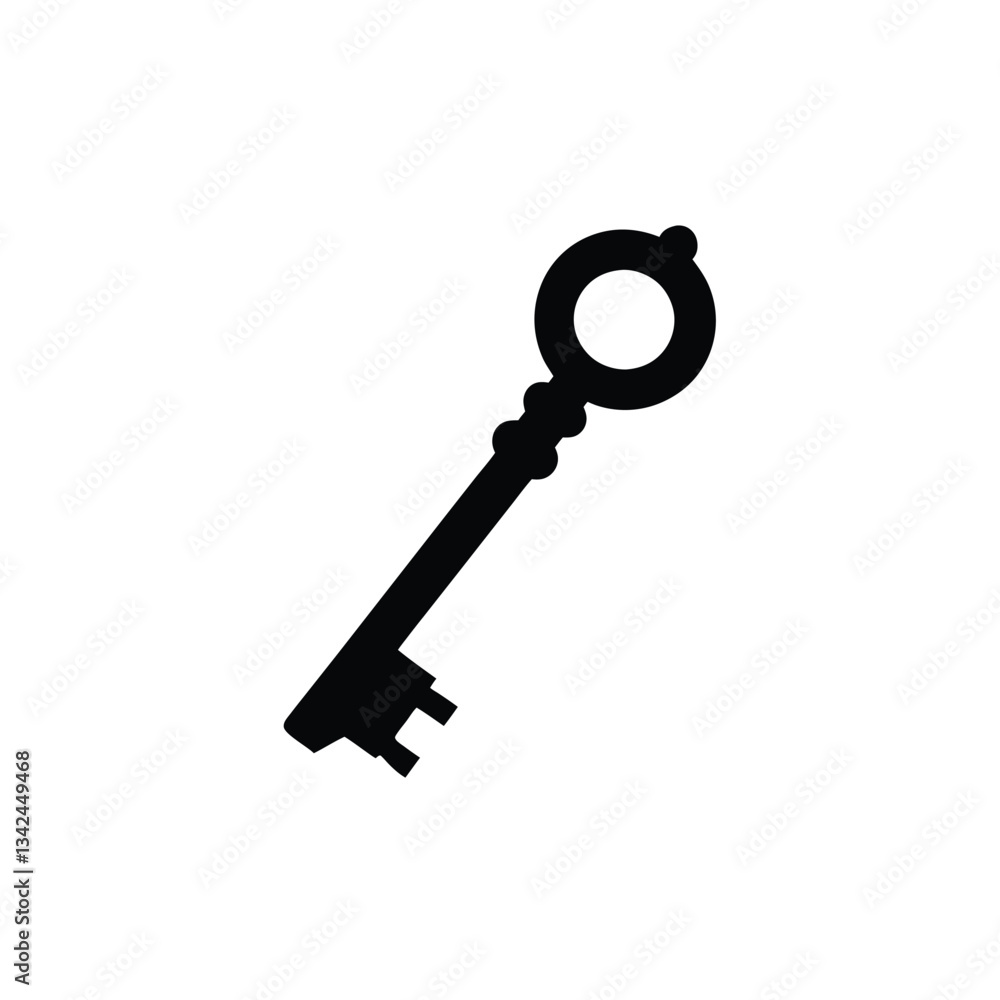 golden key isolated on white vector illustration