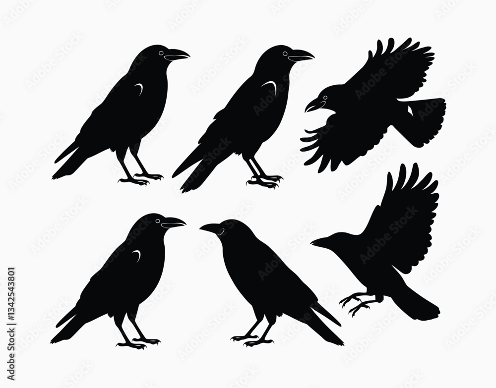 Obraz premium Crow Silhouette Collection EPS Vector Template Illustration