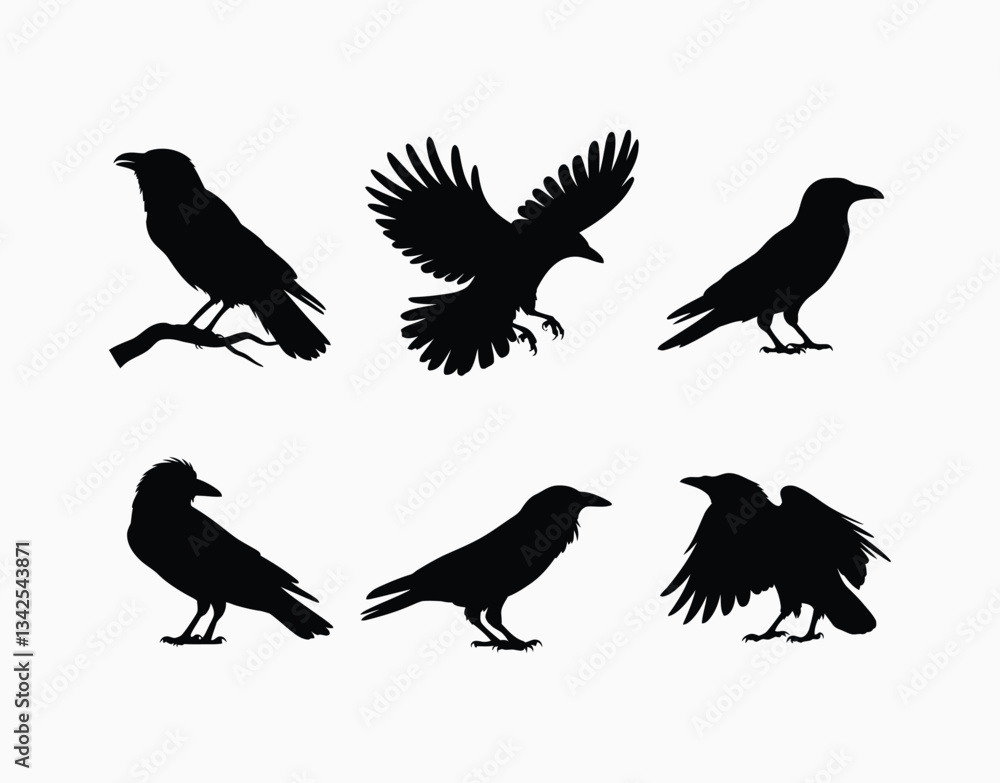 Fototapeta premium Crow Silhouette Collection EPS Vector Illustration Isolated
