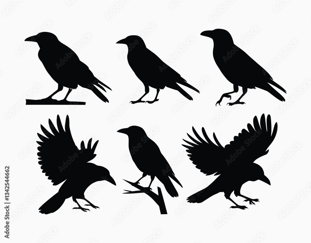 Obraz premium Crow Silhouette Vector EPS Collection on a White Background