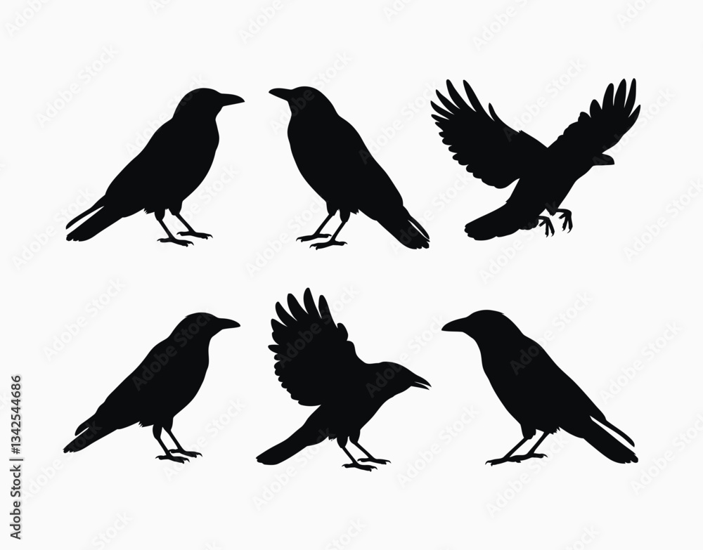 Fototapeta premium Crow Silhouette Vector Template Collection on a White Background