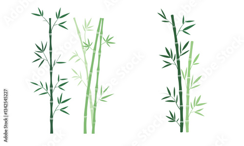 Green bamboo background.vector eps 10