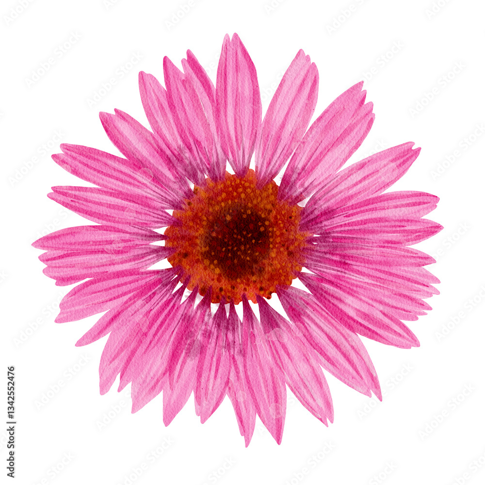 Obraz premium A Beautiful Pink Flower Featuring Radiant and Colorful Petals That Brighten the Scene