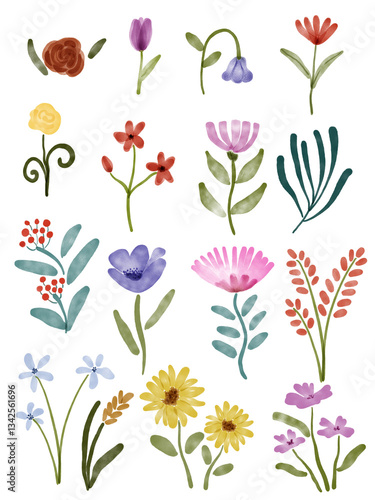 Wallpaper Mural set of flowers png. wild floral watercolor element collection on transparent background. PNG Torontodigital.ca