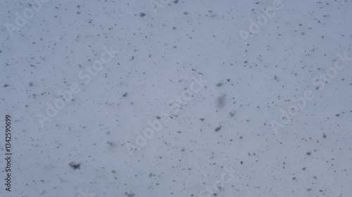 Blizzard Winter Magic Scene, Close-Up.