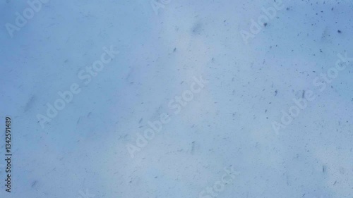 Dynamic Snowfall In Blue Sky, Close up. Winter Wonderland Nature Footage. 