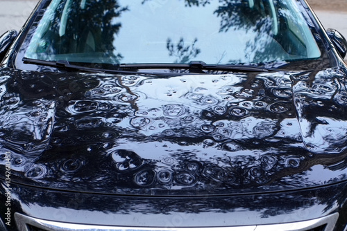 Close-up of a car hood with numerous dents caused by hail or falling debris. The reflective surface shows trees and the sky. Damage is visible across the entire area.