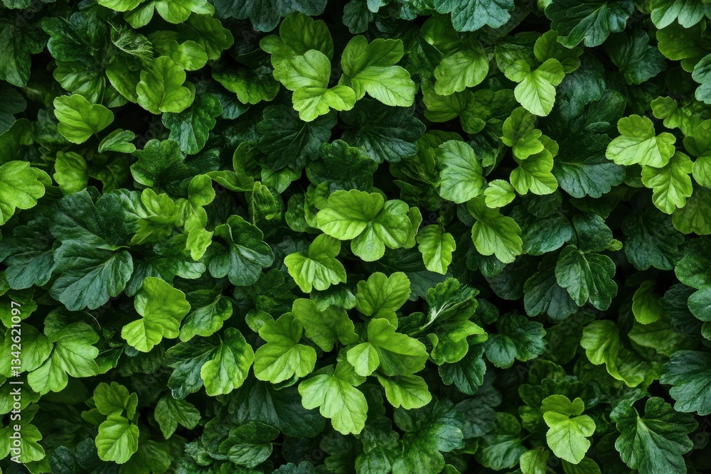 Dense greenery showcases many verdant overlapping leaves on display Dense greenery showcases many verdant overlapping leaves on display
