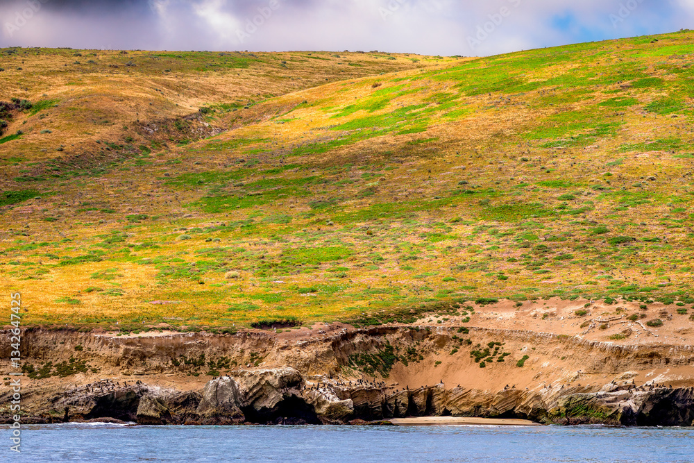 Striking dramatic skies hang over the coastal shores of the Channel Islands during a colorful Springtime day