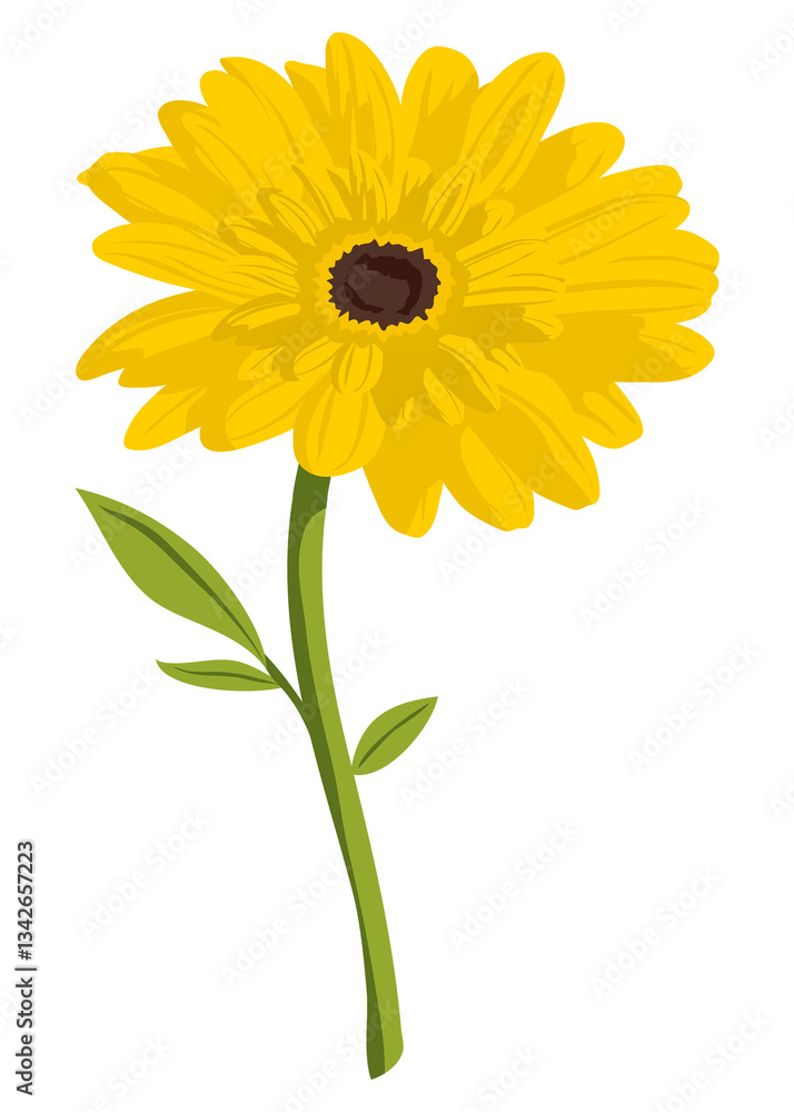 Yellow gerbera png sticker, feminine flower illustration on transparent background Yellow gerbera png sticker, feminine flower illustration on transparent background