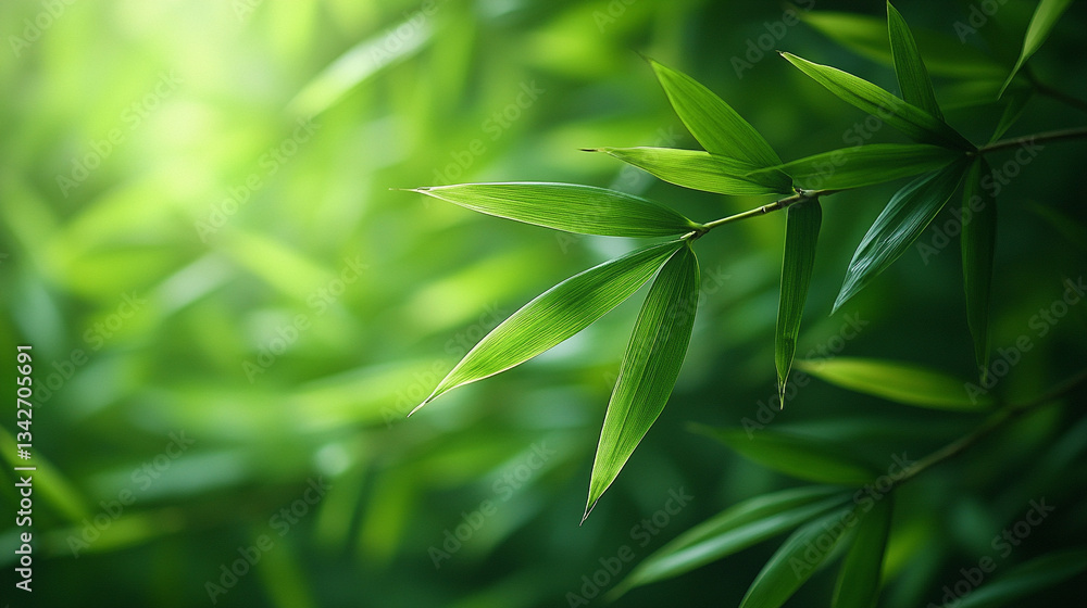 Obraz premium Fresh bamboo leaves swaying gently, illuminated by soft natural light, with a dreamy green forest backdrop.