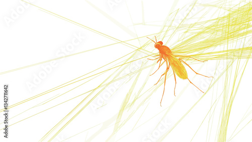 A close-up macro photograph depicts a small, orange insect perched on a yellow plant. The insect's delicate features are highly visible. The background is predominantly white, with the focus